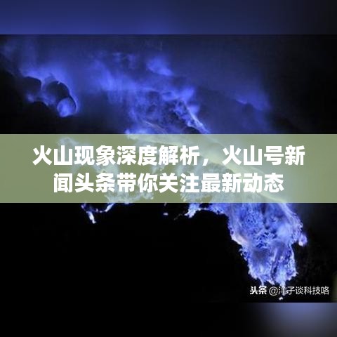 2025年6月12日 第4页