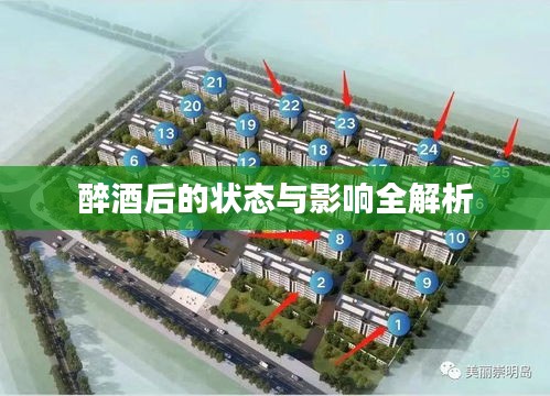醉酒后的状态与影响全解析