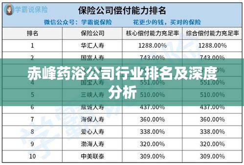 赤峰药浴公司行业排名及深度分析