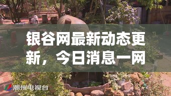 银谷网最新动态更新，今日消息一网打尽！