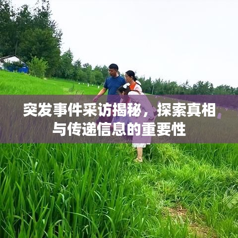 突发事件采访揭秘，探索真相与传递信息的重要性