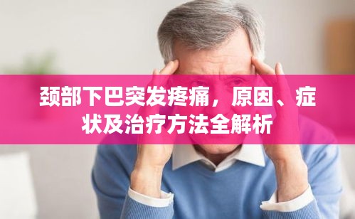 2025年6月17日 第4页