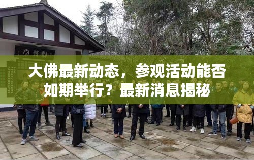 大佛最新动态，参观活动能否如期举行？最新消息揭秘