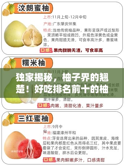 独家揭秘，柚子界的翘楚！好吃排名前十的柚子品种盘点