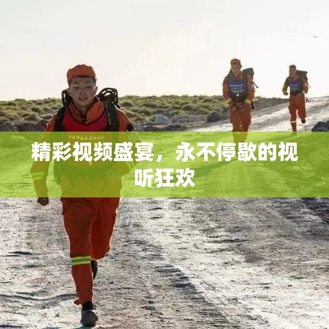 精彩视频盛宴，永不停歇的视听狂欢